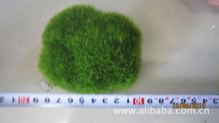 石頭-植絨石頭-禮品、工藝品、飾品-求購產品詳情