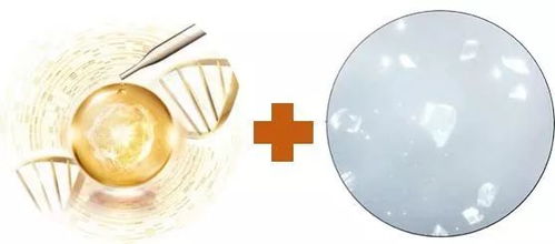 保養(yǎng)丨致宅家的你 囤吃囤喝別忘囤白,假期延長護膚可不能延時